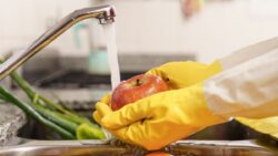 Sanitização de alimentos
