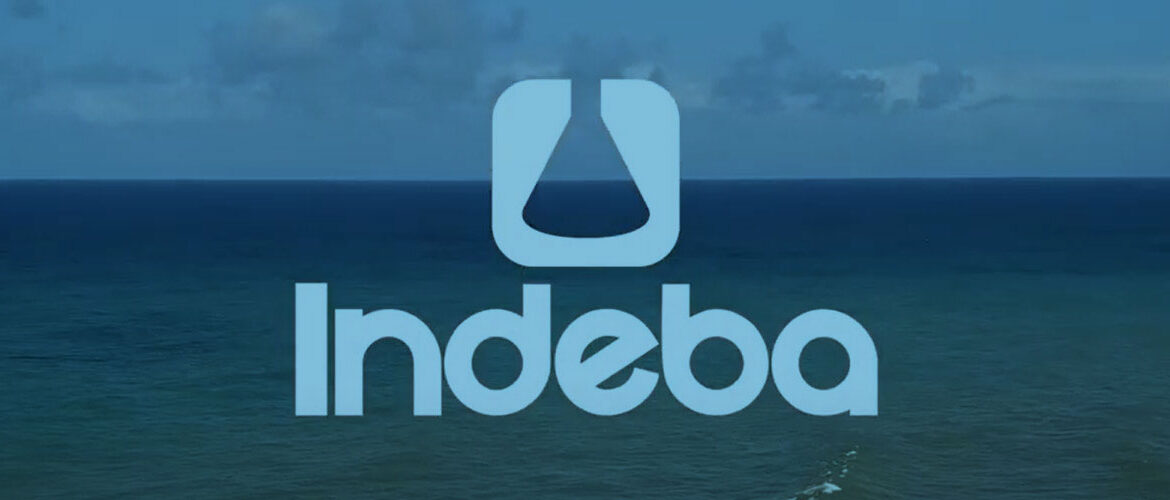 indeba_instituciona_editadol