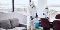 Limpeza e desinfecção